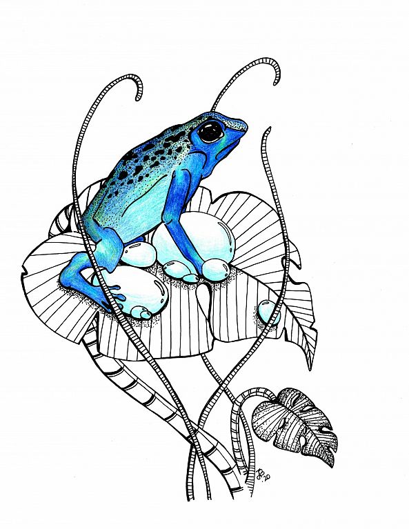 Blue Frog-Jessie's Art