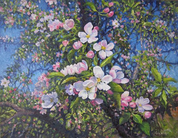  Apple tree blooms-Olga Yakimets