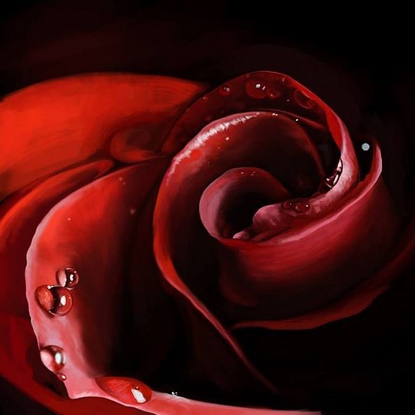 "R-R Ose"-Gabriel Urban