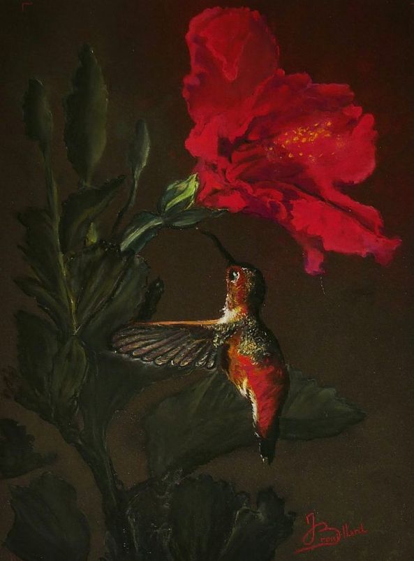 le Colibri et son hibiscus-joelle BROUILLARD